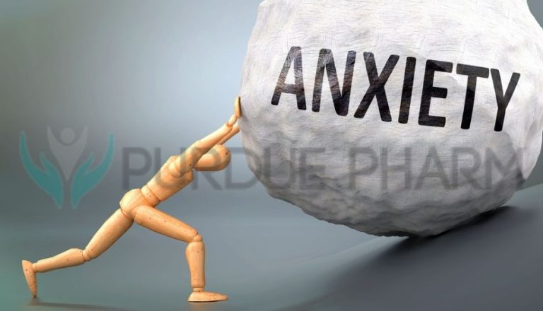 How long does it take for Xanax to kick in? 1 Anxiety 1
