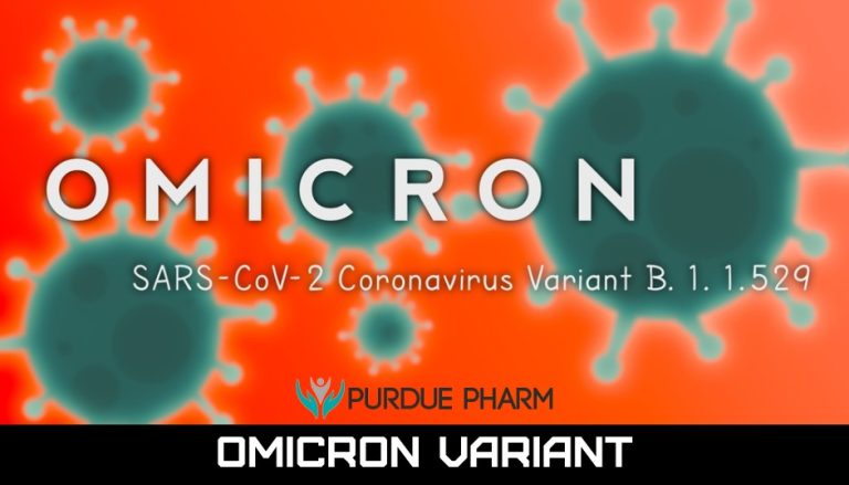 Omicron Variant: Is New York ready for this new virus? 1 Omicron Variant