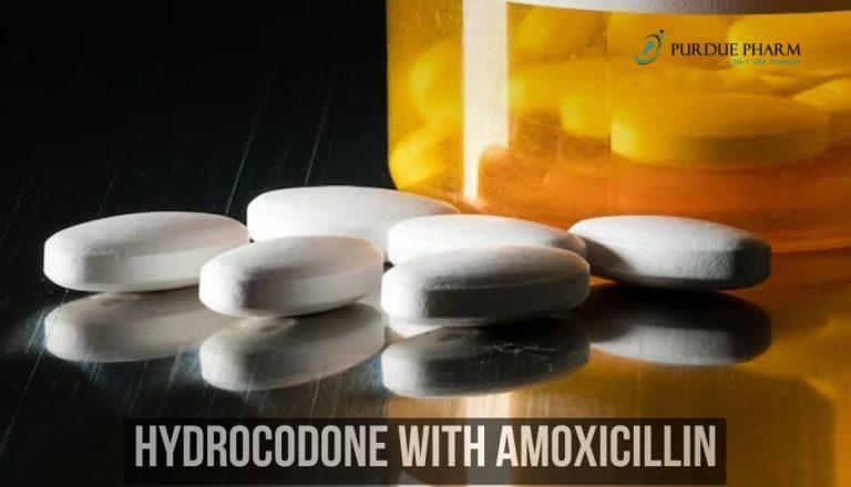 Can I take Hydrocodone with Amoxicillin? 1 Can I take Hydrocodone with Amoxicillin