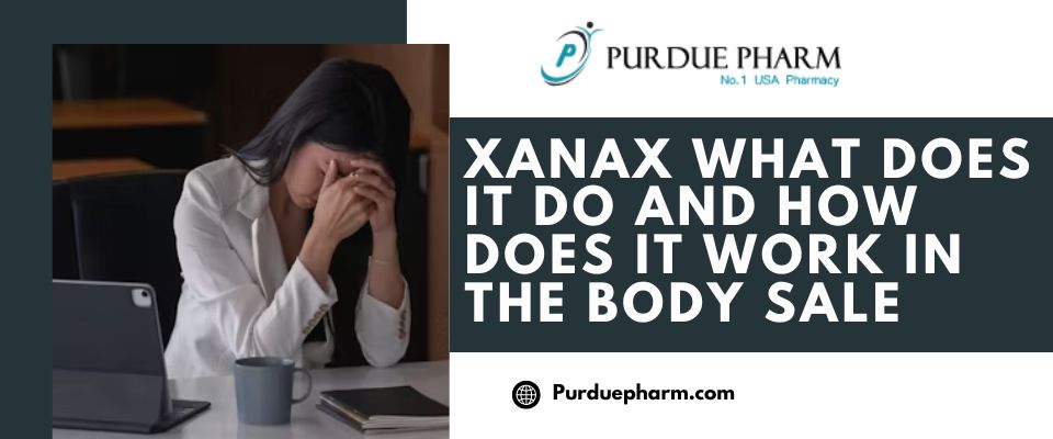 Xanax What Does It Do and How Does It Work in the Body